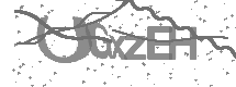 Doğrulama Kodu